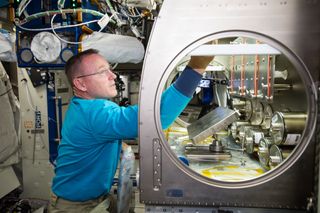 NASA astronaut Barry "Butch" Wilmore set up the Rodent Reseach-1 Hardware aboard the International Space Station.
