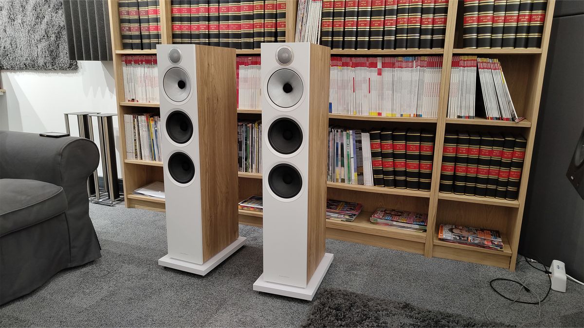 Floorstanding speakers: Bowers &amp; Wilkins 603 S3 in front of bookshelves lined with books