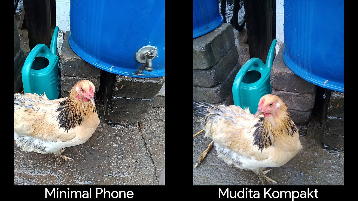 Comparing the cameras on the Mudita Kompakt vs the Minimal Phone