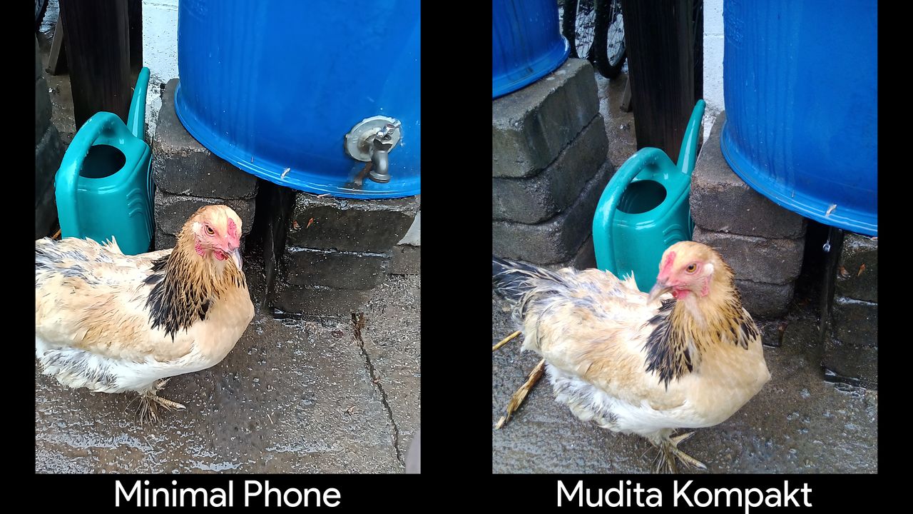 Comparing the cameras on the Mudita Kompakt vs the Minimal Phone
