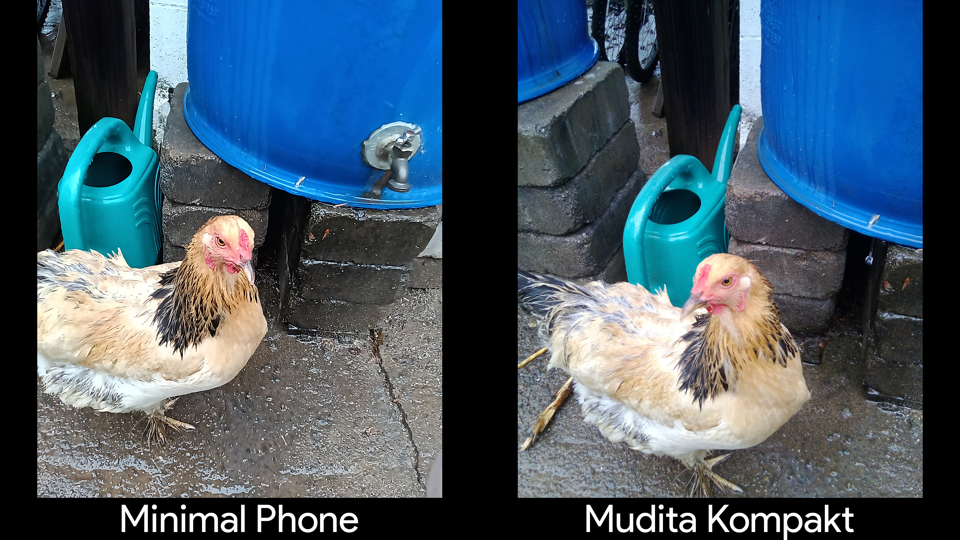 Comparing the cameras on the Mudita Kompakt vs the Minimal Phone