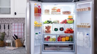 Inside view of a refrigerator