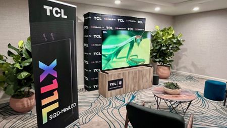 TCL X11L showing image of praying mantis on screen in hotel room suite