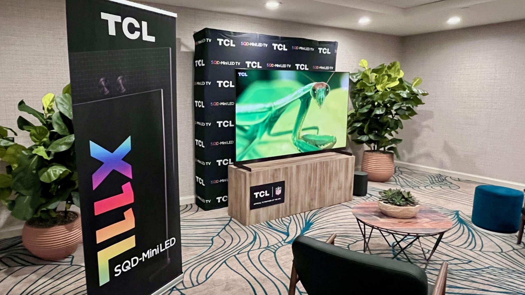 TCL X11L showing image of praying mantis on screen in hotel room suite