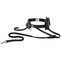 Frisco Outdoor Running Belt with Bungee Dog Leash