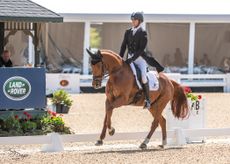 James Alliston and Paper Jam at the Kentucky Three-Day Event 2022
