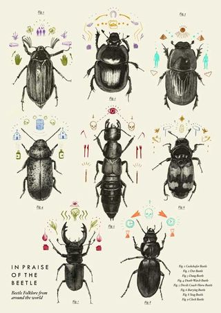 Laura Plant also designed a fold-out poster to accompany her book, In Praise of the Beetle