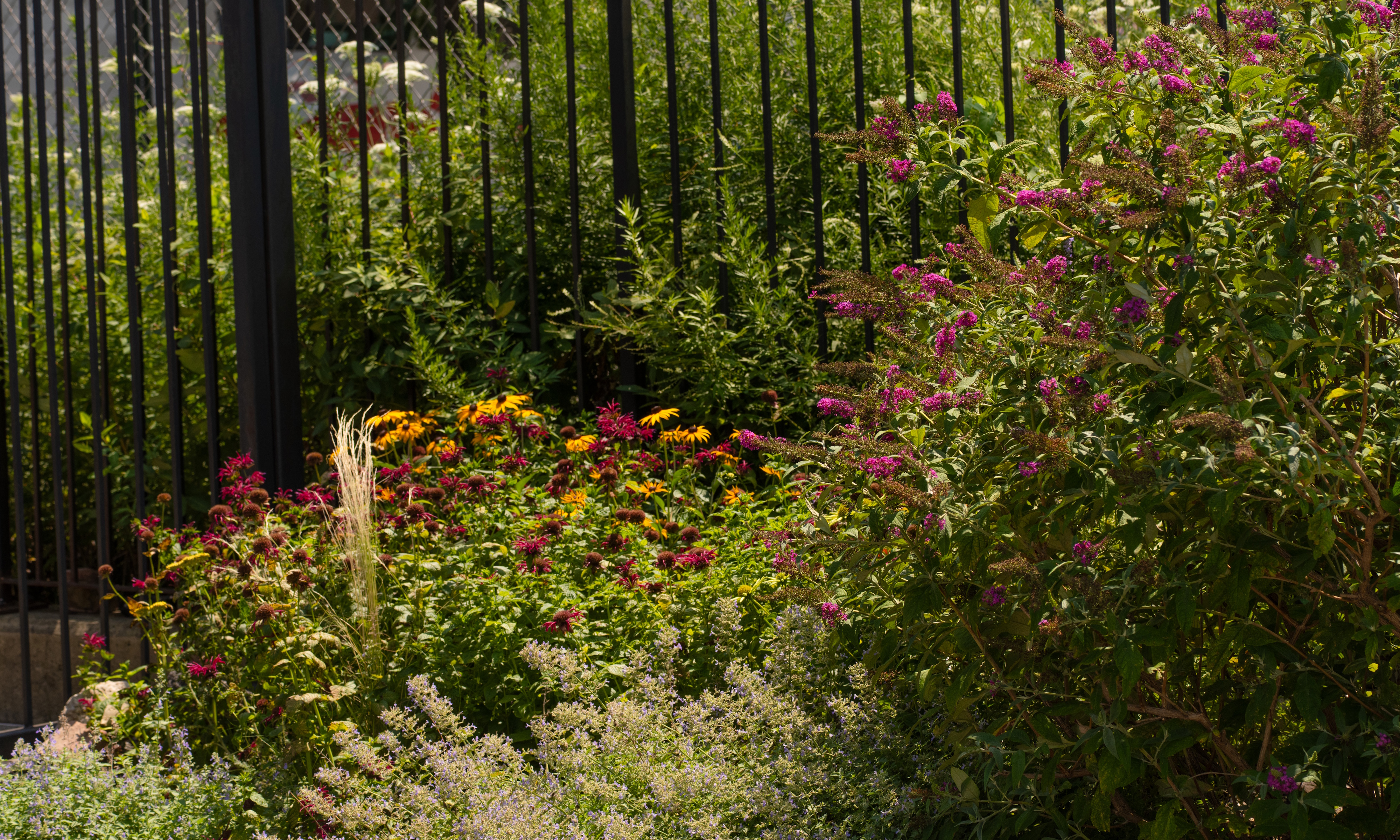 Layered naturalistic planting