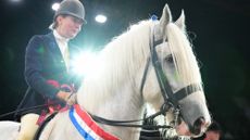 Emma Green and Cardington Billy Bob win the ridden heavy horse championship at HOYS