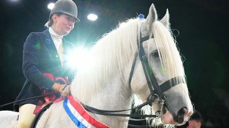 Emma Green and Cardington Billy Bob win the ridden heavy horse championship at HOYS