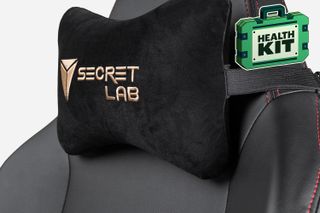 A Secret Lab head pillow.