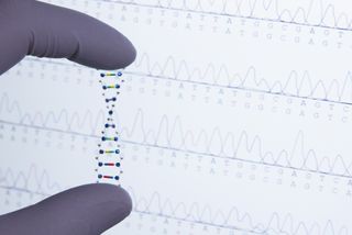 DNA sequence and DNA molecule