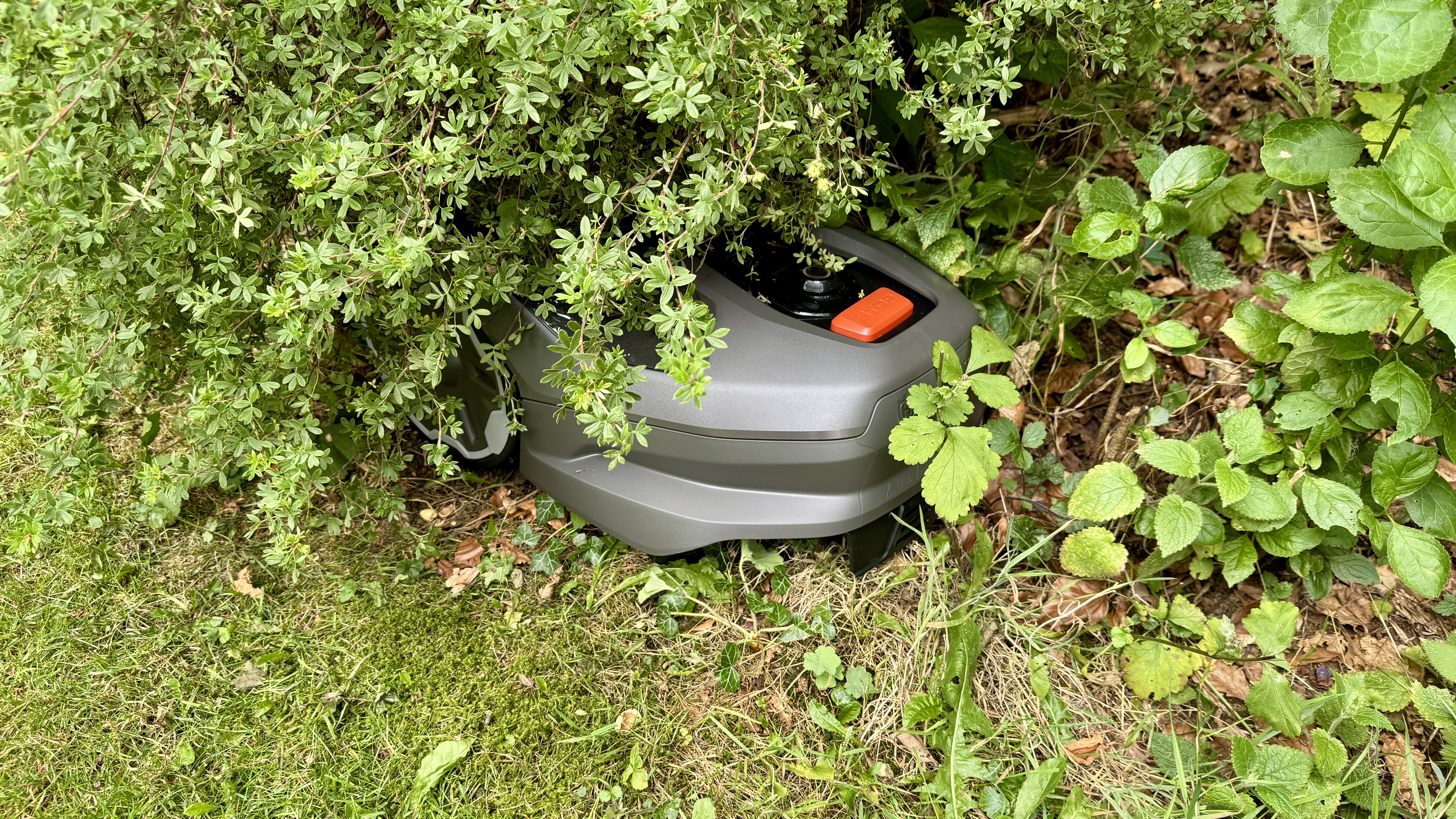 Husqvarna Automower 305E NERA stuck in a bush