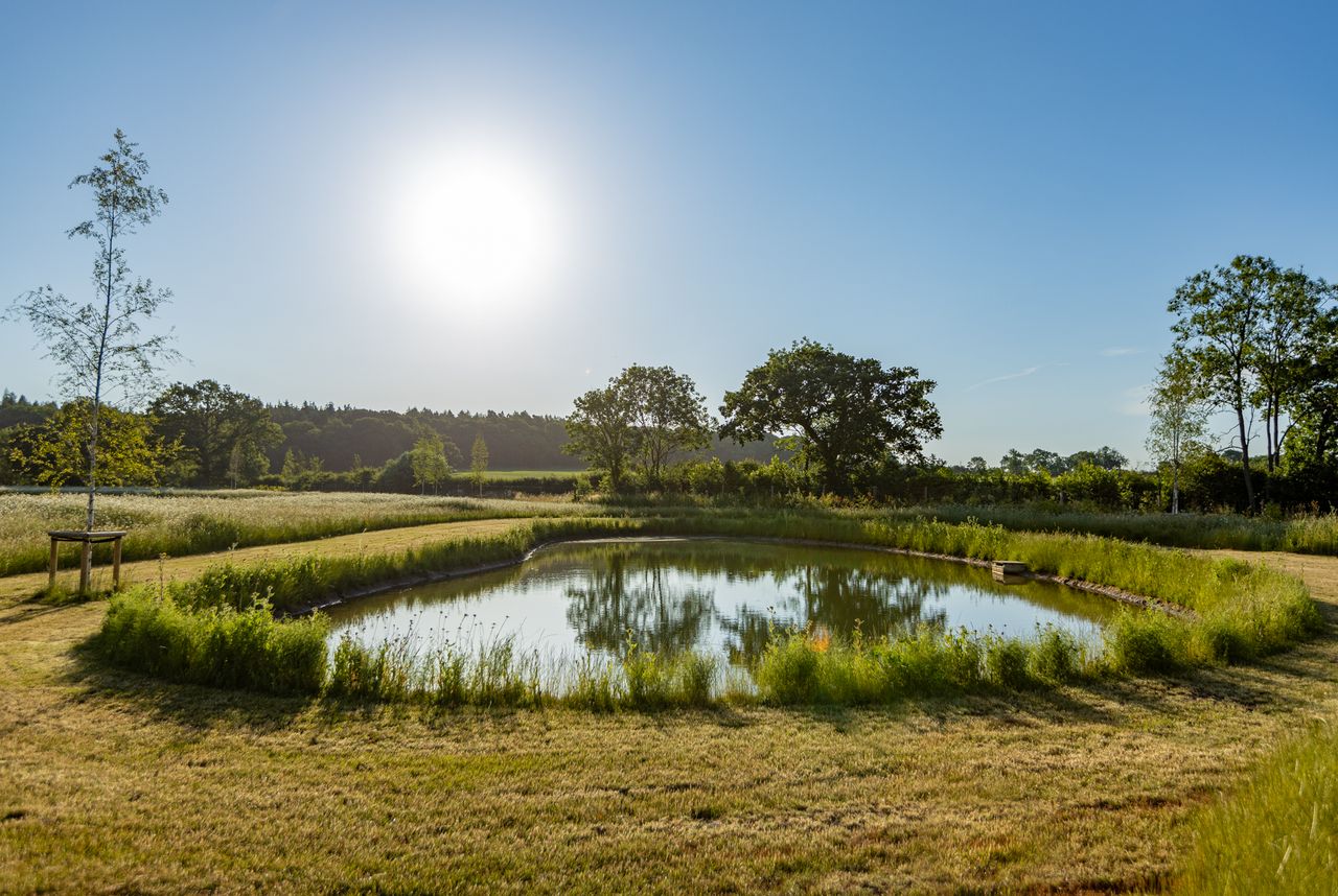 Nature is under threat from many quarters, therefore it’s important to adopt an environment-led approach to garden design.