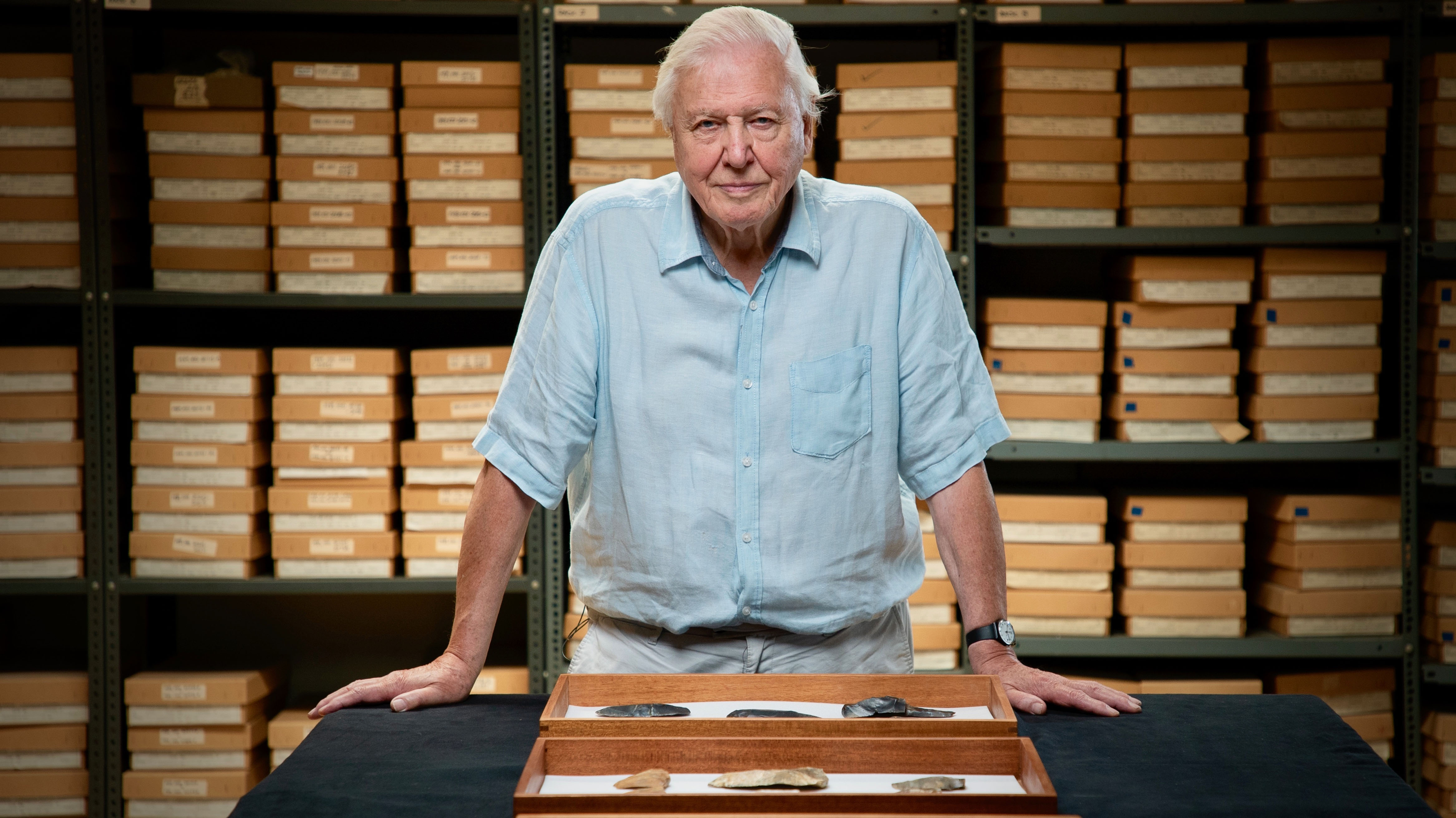 TV tonight David Attenborough.