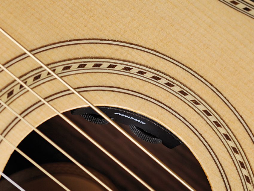 Volume and tone controls sit in the soundhole.