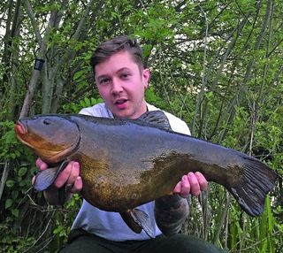 Biggest tench: an angler holding a huge, freshly caught tench