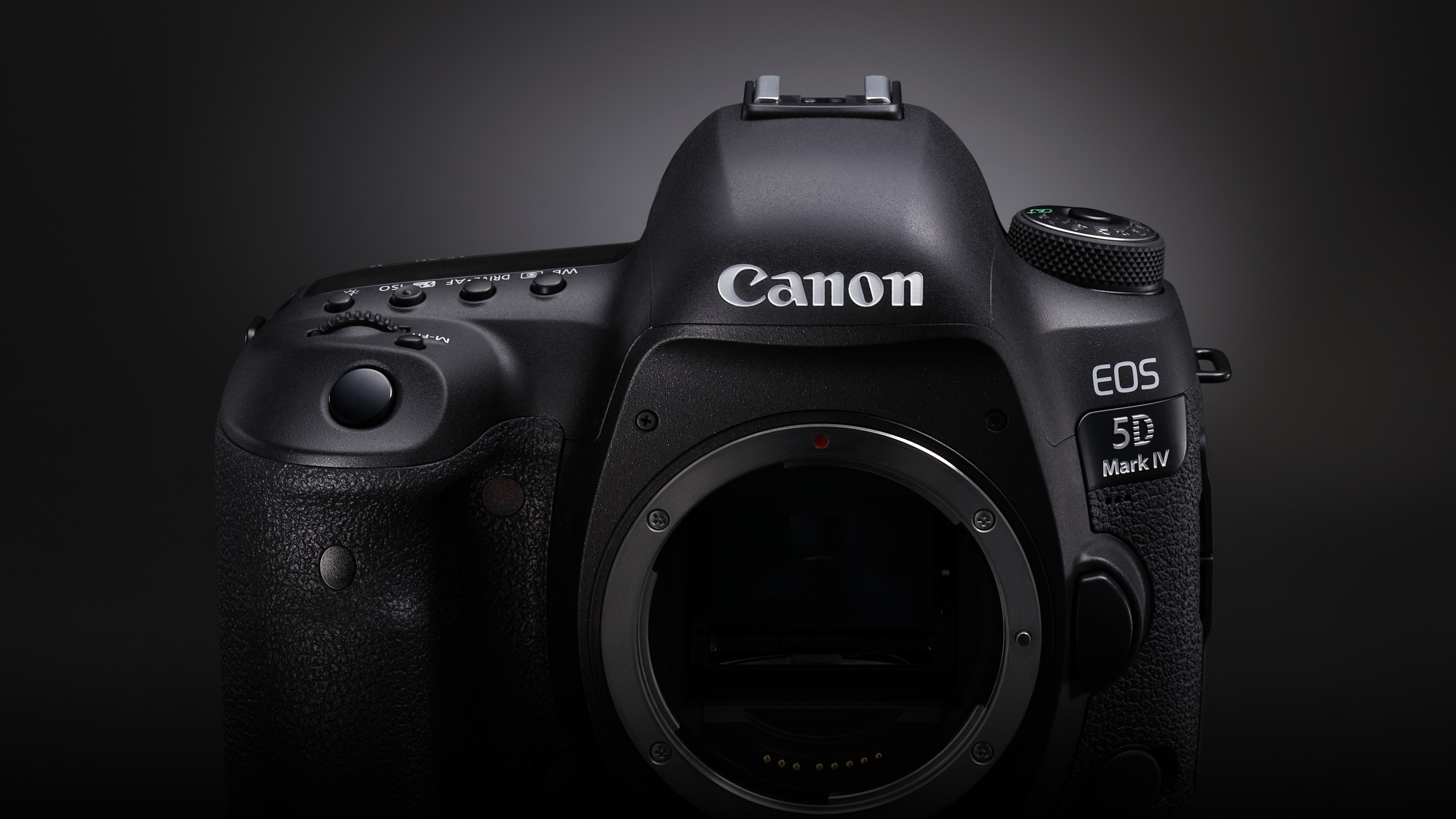 Canon EOS 5DS R sample photo - 8Gt85DpQtU - ExploreCams