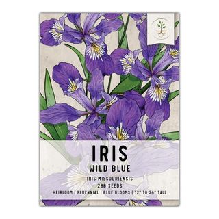 Iris seed mix