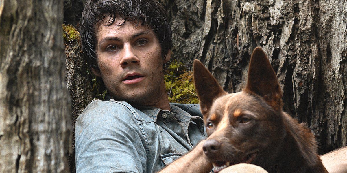 The Best Dylan O'Brien Movies And TV Shows And How To Watch Them ...