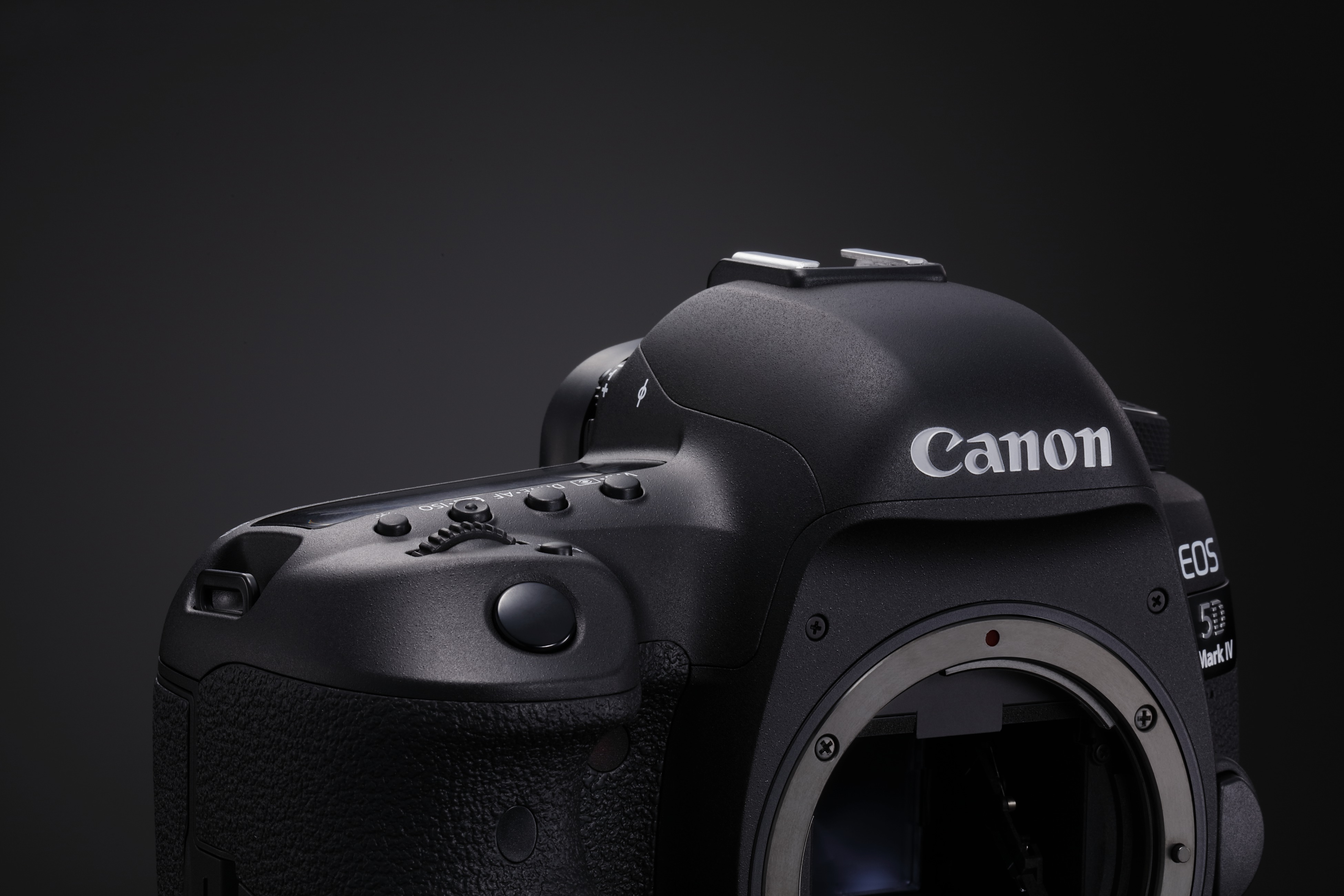 Canon eos iv. Canon 5d Mark 4. Canon EOS 5d Mark IV ev. Canon 5d Mark IV Shtain. Canon d5 Mark 4 встроенная вспышка.