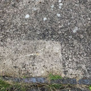 Results of testing algae and lichen cleaning products including Wet & Forget on concrete