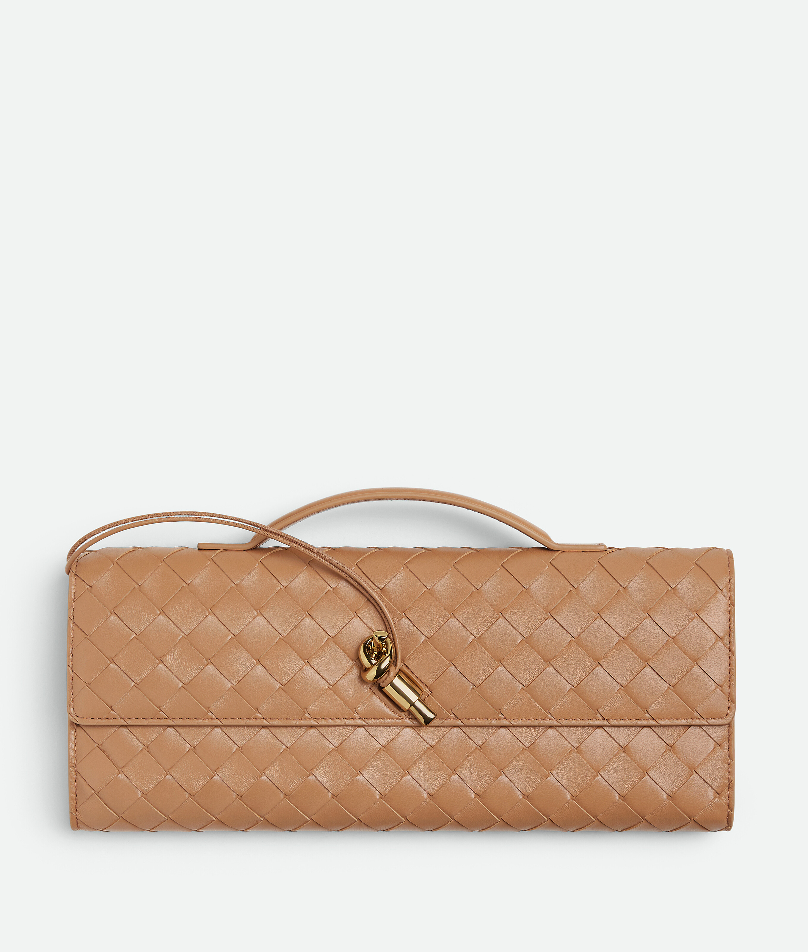 Women's Andiamo Clutch in Pale Brown