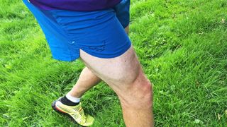 best trail running shorts: Dynafit Vert 2 M Shorts