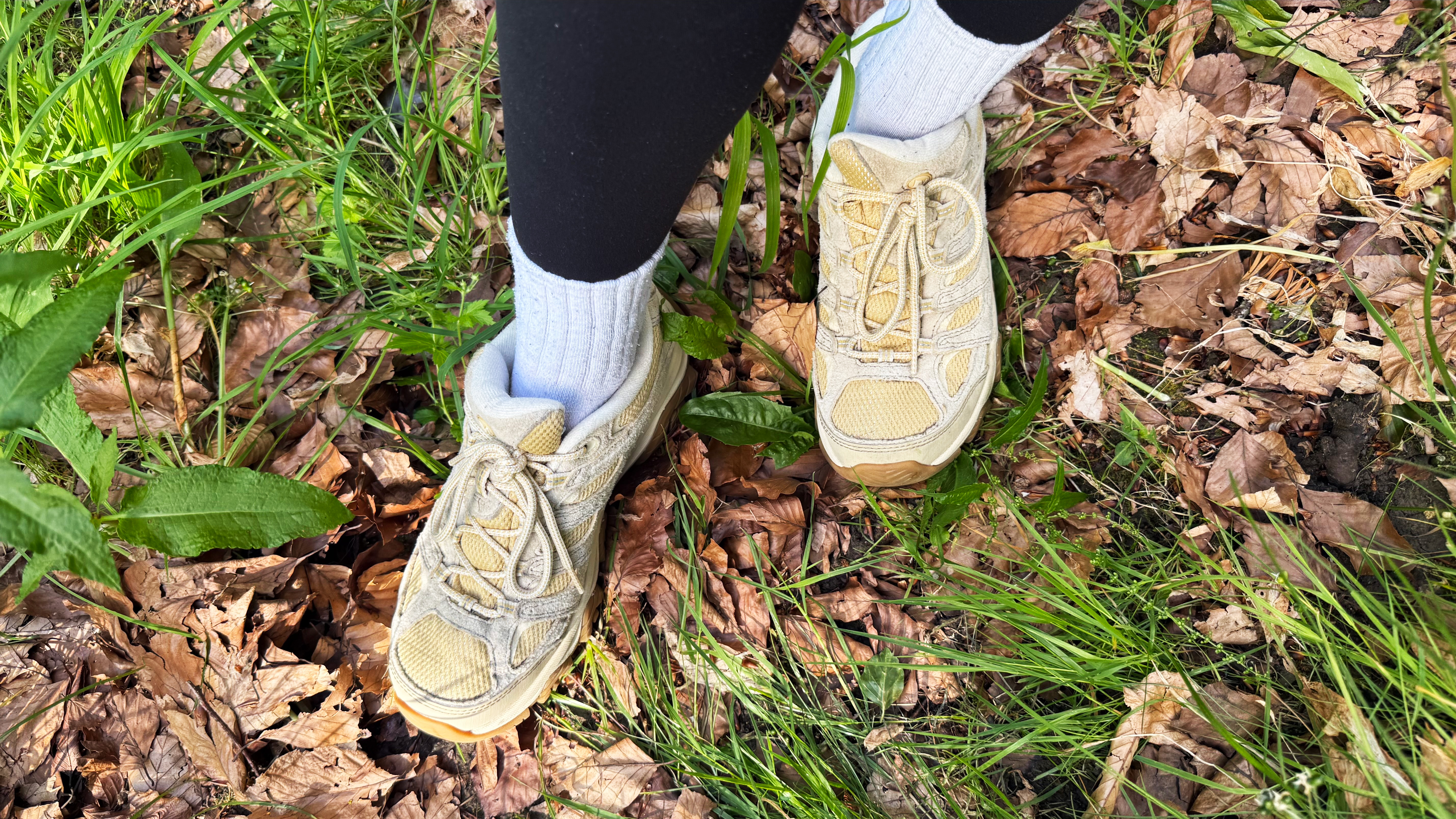 a photo of the merrell moab shoes photographed outside