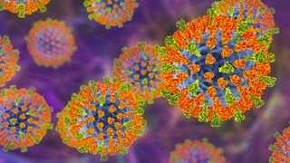 Artist's impression of the measles virus