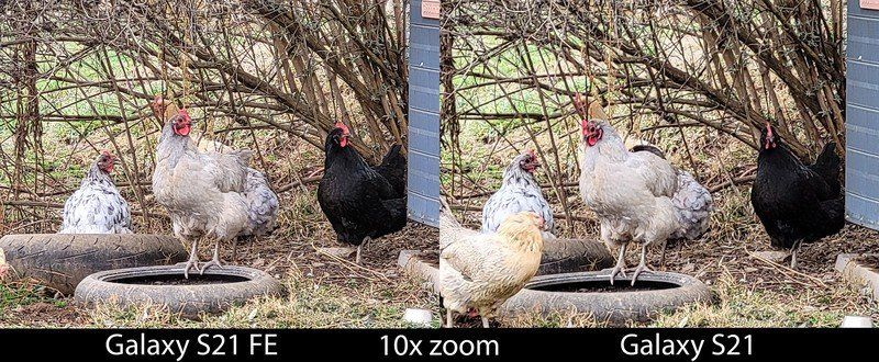 S21 Vs S21 Fe Zoom