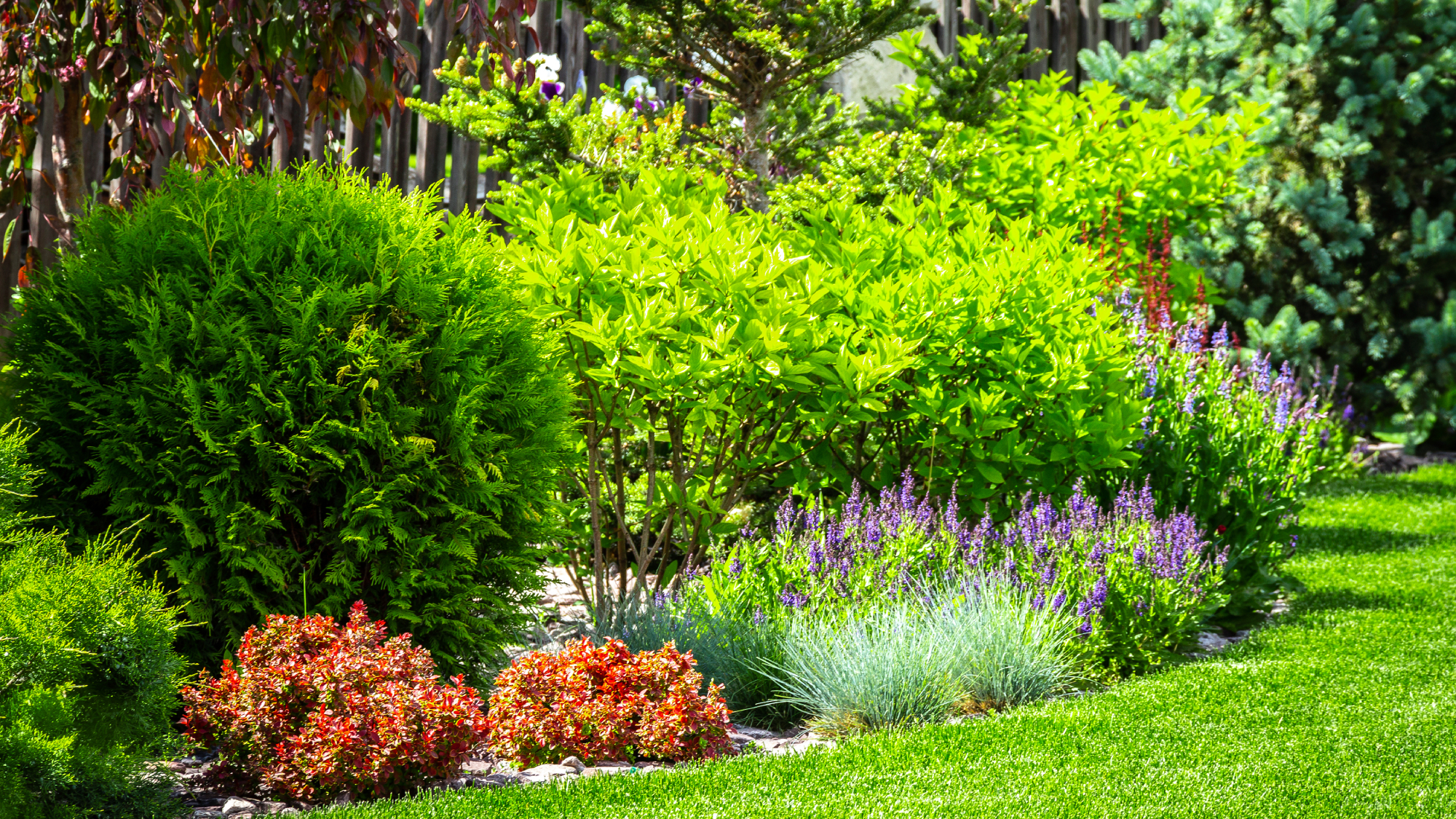 neatly landscaped garden beds and lawn