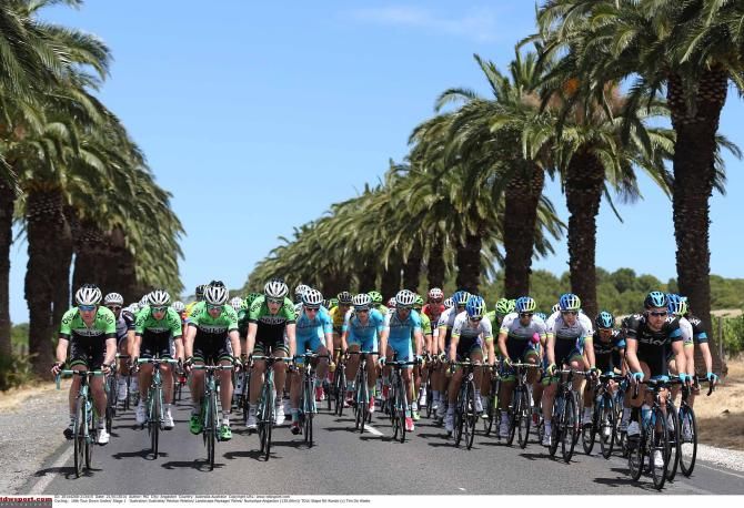 Belkin, Orica-GreenEdge and Sky mass on the front at the Tour Down Under.