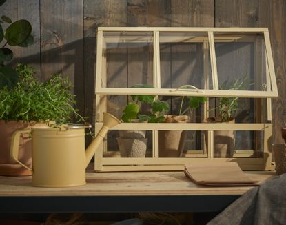 A small yellow greenhouse on a work bench 