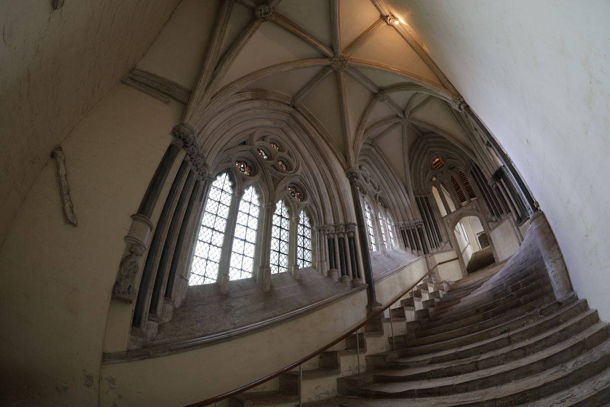 Canon RF 7-14mm f/2.8-3.5L Fisheye STM sample image