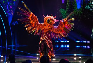 Phoenix performing on stage as he raises his wings