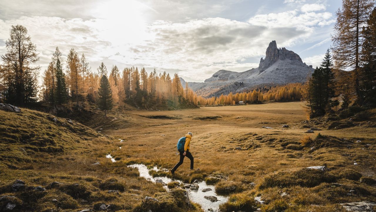 A person runs in the wilderness