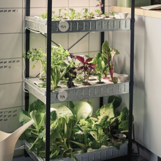 Ikea launches hydroponic indoor gardening kit Ideal Home