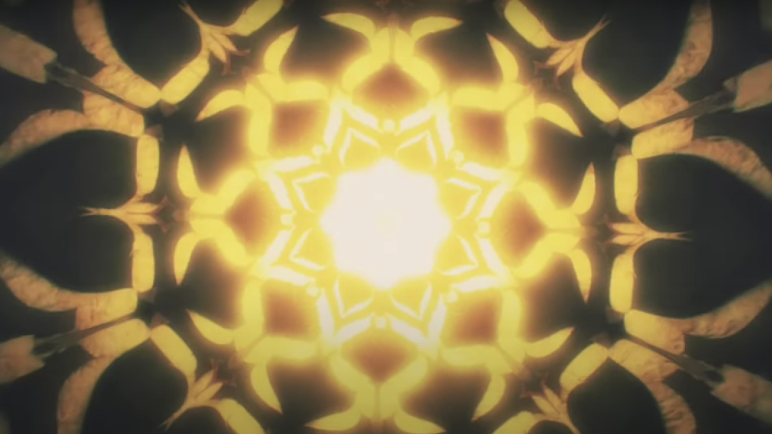 Virgil & Steve Howe Lunar Mist music video still