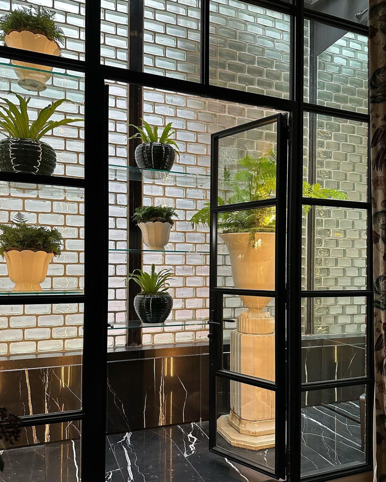 a fernery inside a modern home