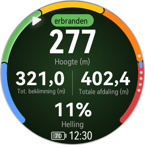 Huawei GT7 Pro