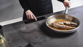 The Invisacook cooking fish in a skillet with the stove revealed beneath the surface