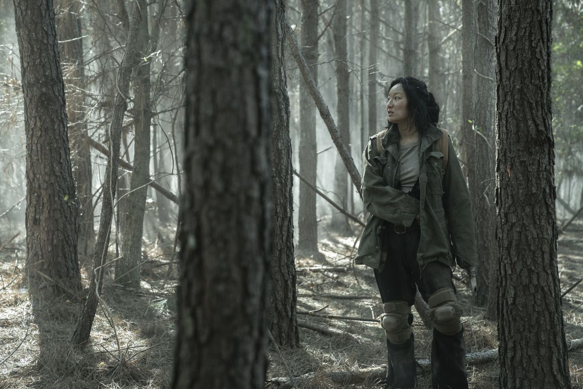 Unknown character in the woods on Tales of the Walking Dead