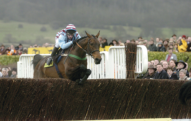 &amp;lt;p&amp;gt;Undoubtedly one of the most popular racehorses of his era, the Henrietta Knight-trained gelding became the first horse since the great Arkle to win three successive Gold Cups in 2002, 2003 and 2004. All races were under Irishman Jim Culloty, with whom he built a formidable partnership.&amp;lt;/p&amp;gt;