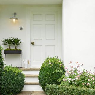 How to paint an exterior wall with white house and green bushes