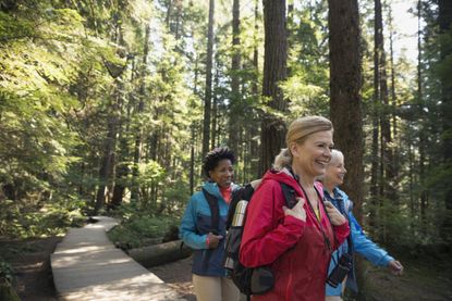 nature bathing: walking with friends could boost health