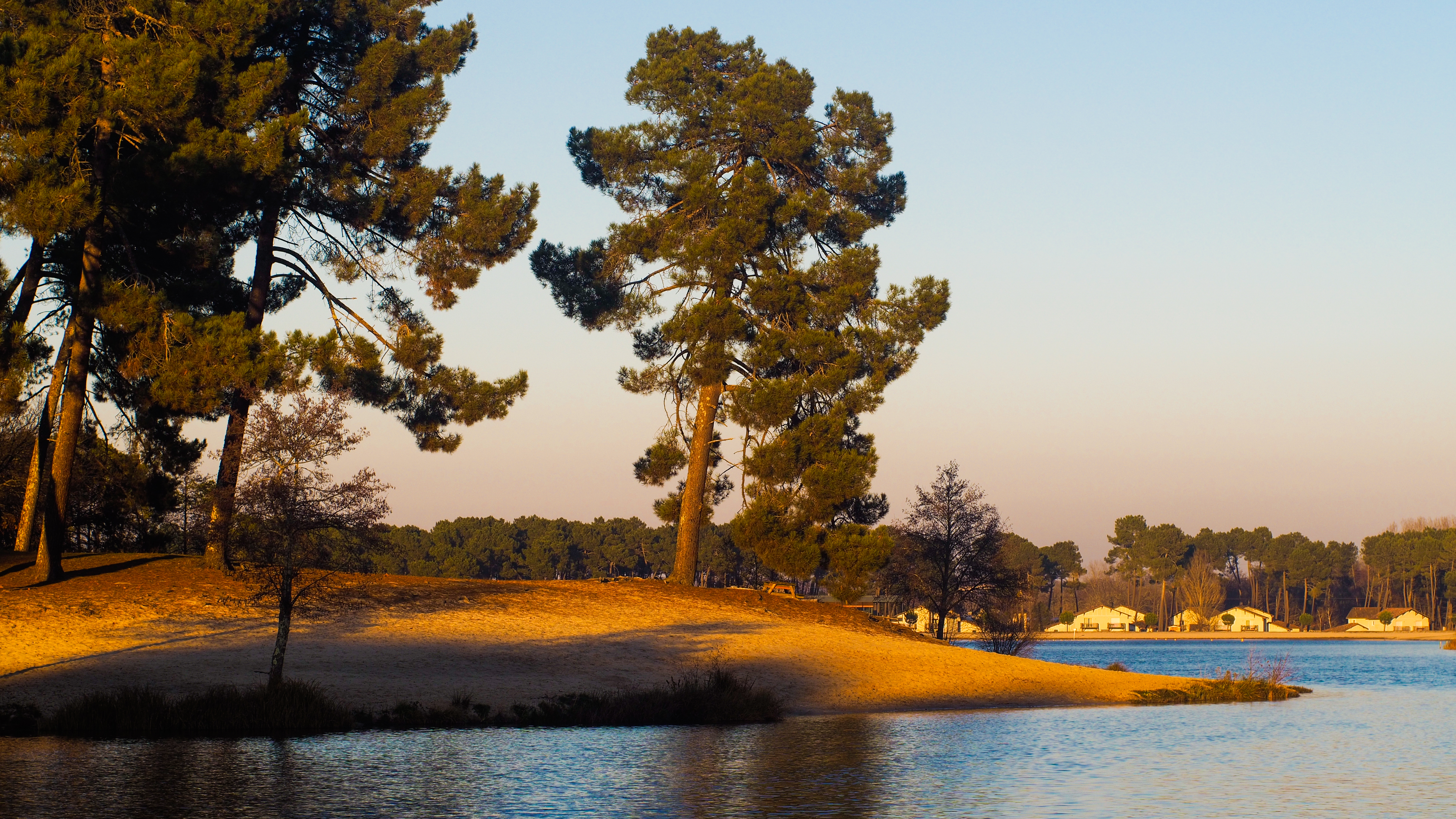 Frensham Ponds