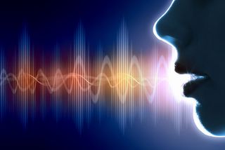 Speech Sound Waves