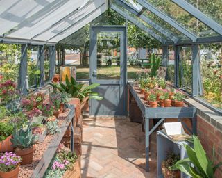 Hartley Botanic shelves in greenhouse