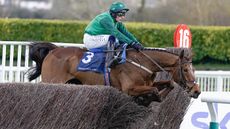 El Fabiolo, en-route to winning the Arkle at the 2023 Cheltenham Festival. He is favourite for this year's Betway Champion Chase.